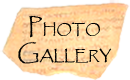 Link to Photo Gallery Photo Gallery